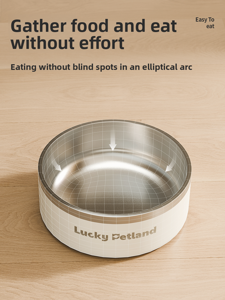 Stainless Steel Pet Food and Water Bowl