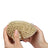 Wooden Handle Pet Bath Massage Brush with Soft Bristles