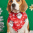 Cartoon print pet bandana for dogs and cats in Design 14, material detail