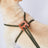 Integrated rope dog harness and lead, product photo