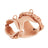 Wipe clean PVC dog collar and lead set shown in several colour options
