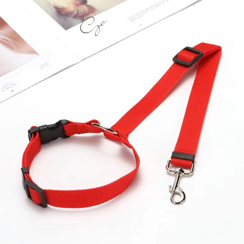 Colourful car safety leads for dogs and cats in nine colours