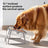 Extra-Thick Stainless Steel Elevated Pet Bowl or Stand with Non-Slip Base for Dogs