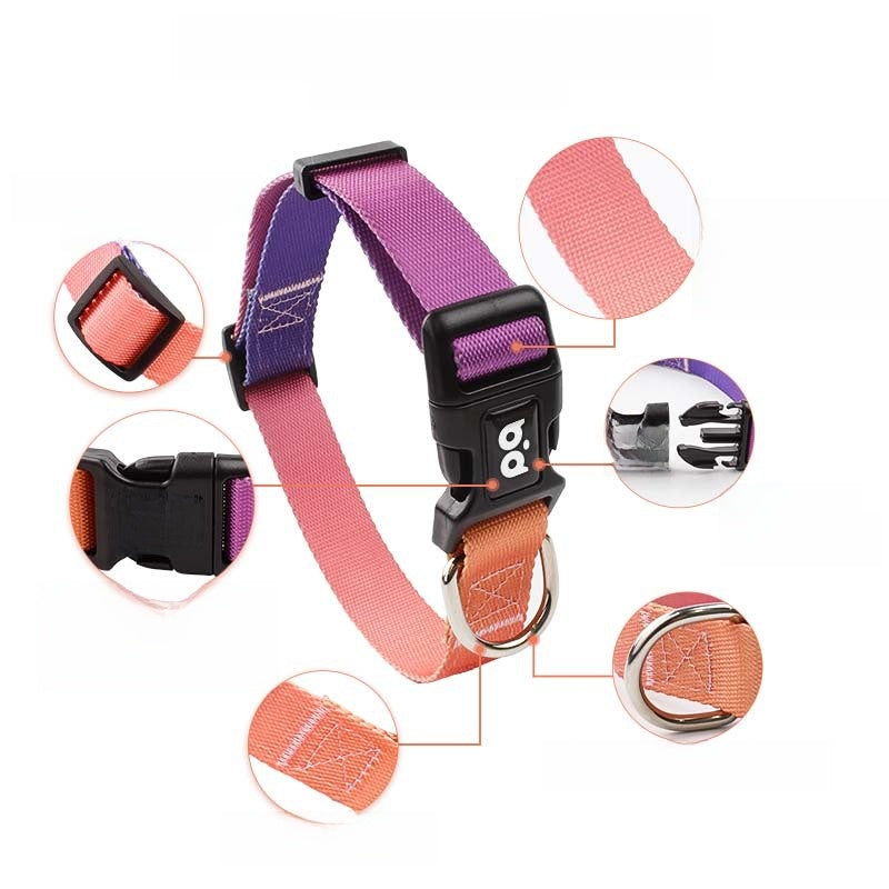 Three piece dog harness, collar and lead set in orange gradient
