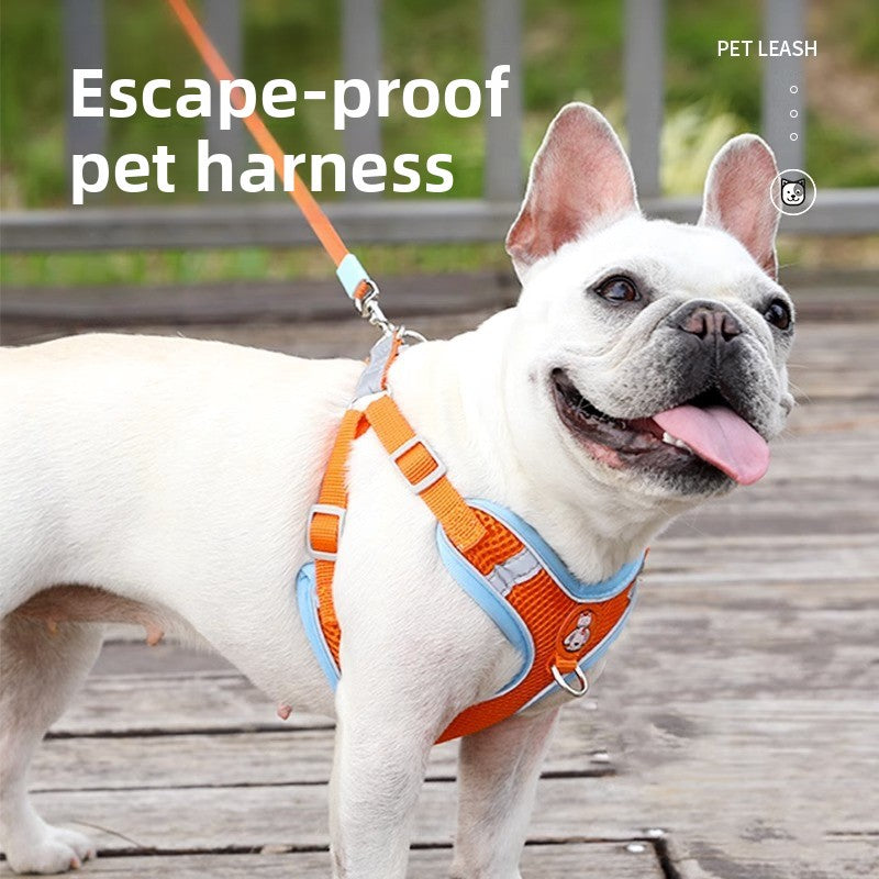 Reflective nylon harness or lead for small pets, main product photo