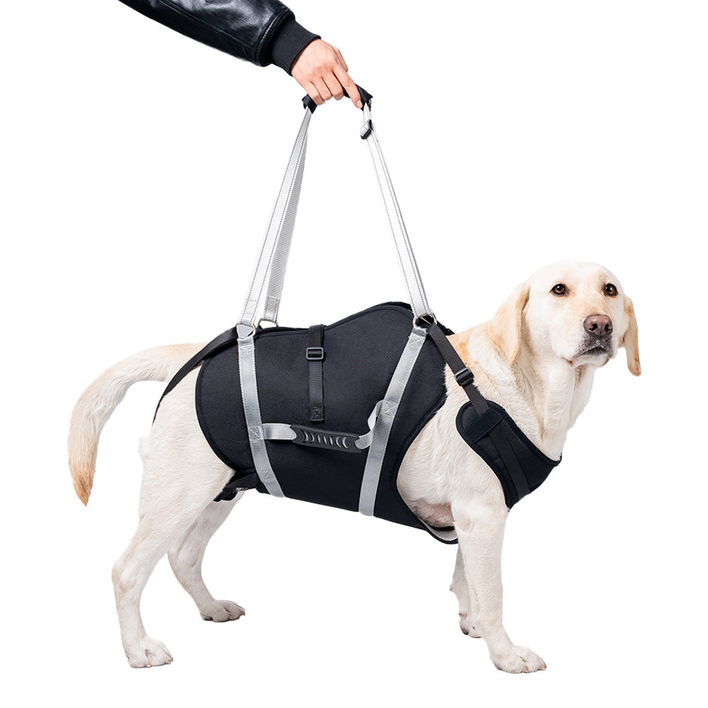 Reflective support dog harness with lift handle, close-up detail view