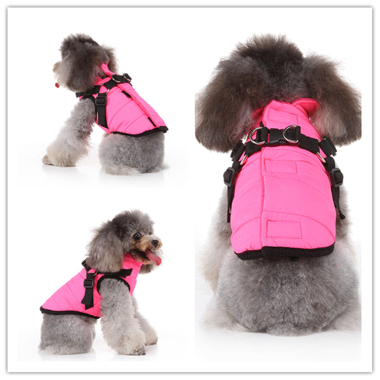 Windproof hooded dog jacket with zip front in Blue Style C, close-up detail