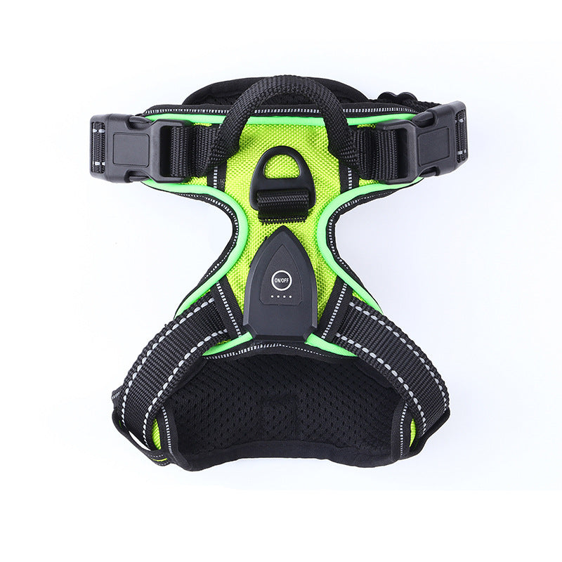 LED light-up dog harness for night walks, photo from another angle