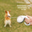 Automatic retractable lead for cats and small dogs, product image 3