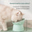 Cute Pet Bowl Double Bowl Neck Protection Anti-Tip Cat Food Bowl