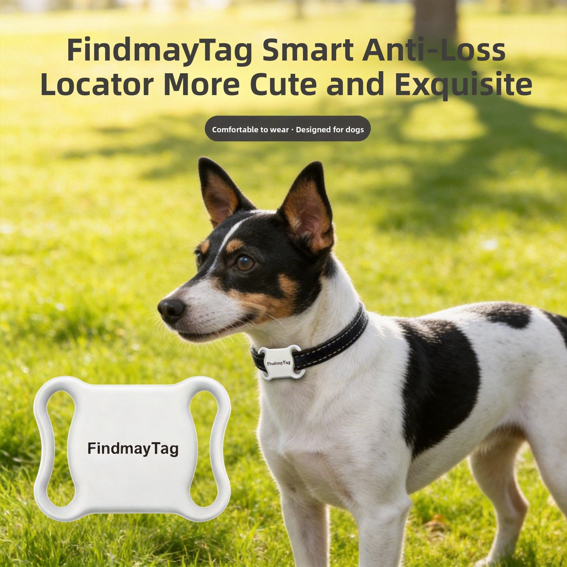 Lightweight pet locator tag for collars in Black with Text, front view