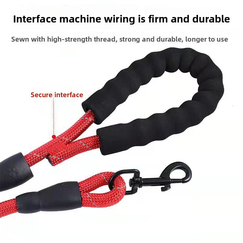 Reflective dog lead and collar set in Red 2-Piece Set, in a home setting