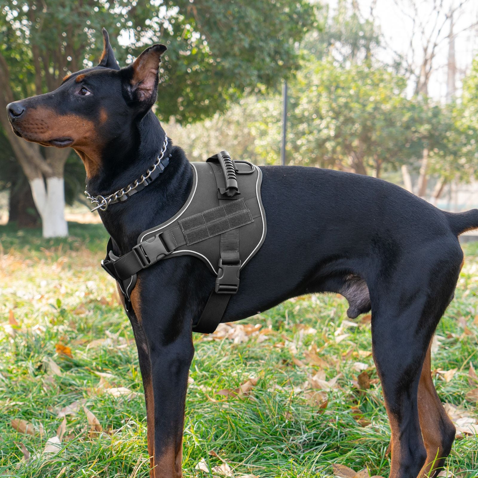 Tactical dog harness and lead set, available from Pet Royale UK