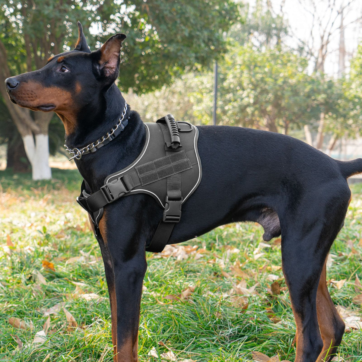 Tactical dog harness and lead set, available from Pet Royale UK