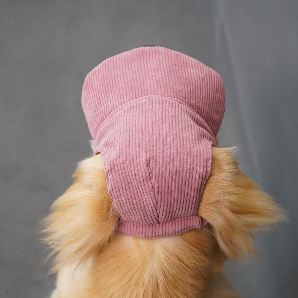 Dog baseball cap with ear openings in Yellow Bucket Hat, showing size and shape