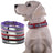 Reflective pet collar with steel name tag in 8 colour options