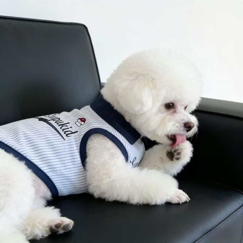 Blue striped polo collar dog vest, in Blue Stripe, image 3
