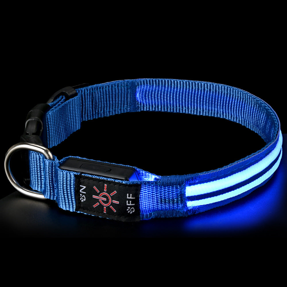 Waterproof LED fibre optic dog collar in Green, in a home setting