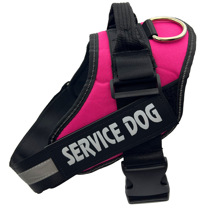 Reflective nylon dog harness with lead in blue, product image 72
