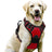 Adjustable dog harness and lead set shown in ten colours