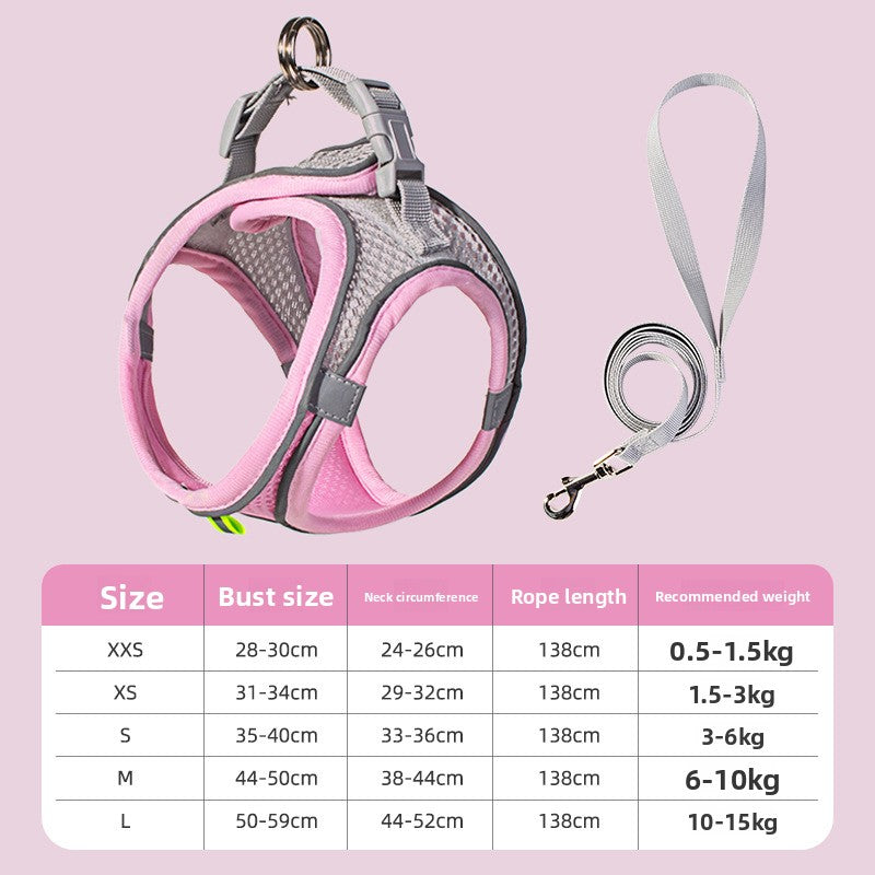 Two-tone padded harness and lead set, ideal for everyday use