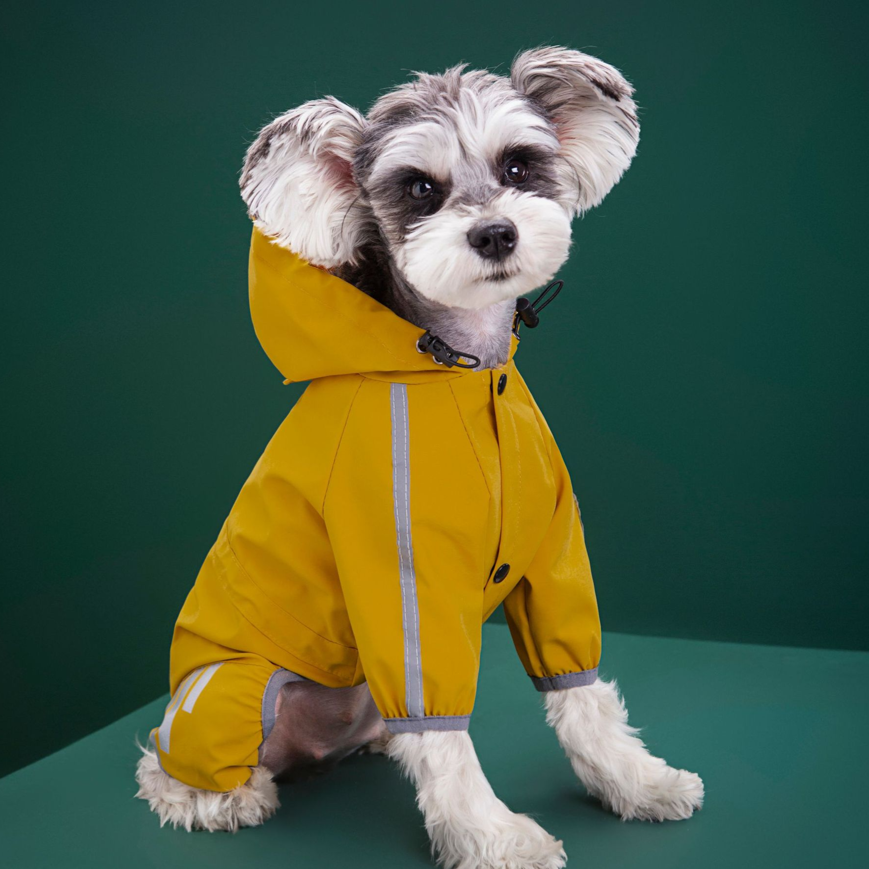 Hooded reflective four leg dog raincoats in four bright colours
