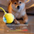 Electric Interactive Dog Toy with Obstacle Avoidance, 3 Speeds