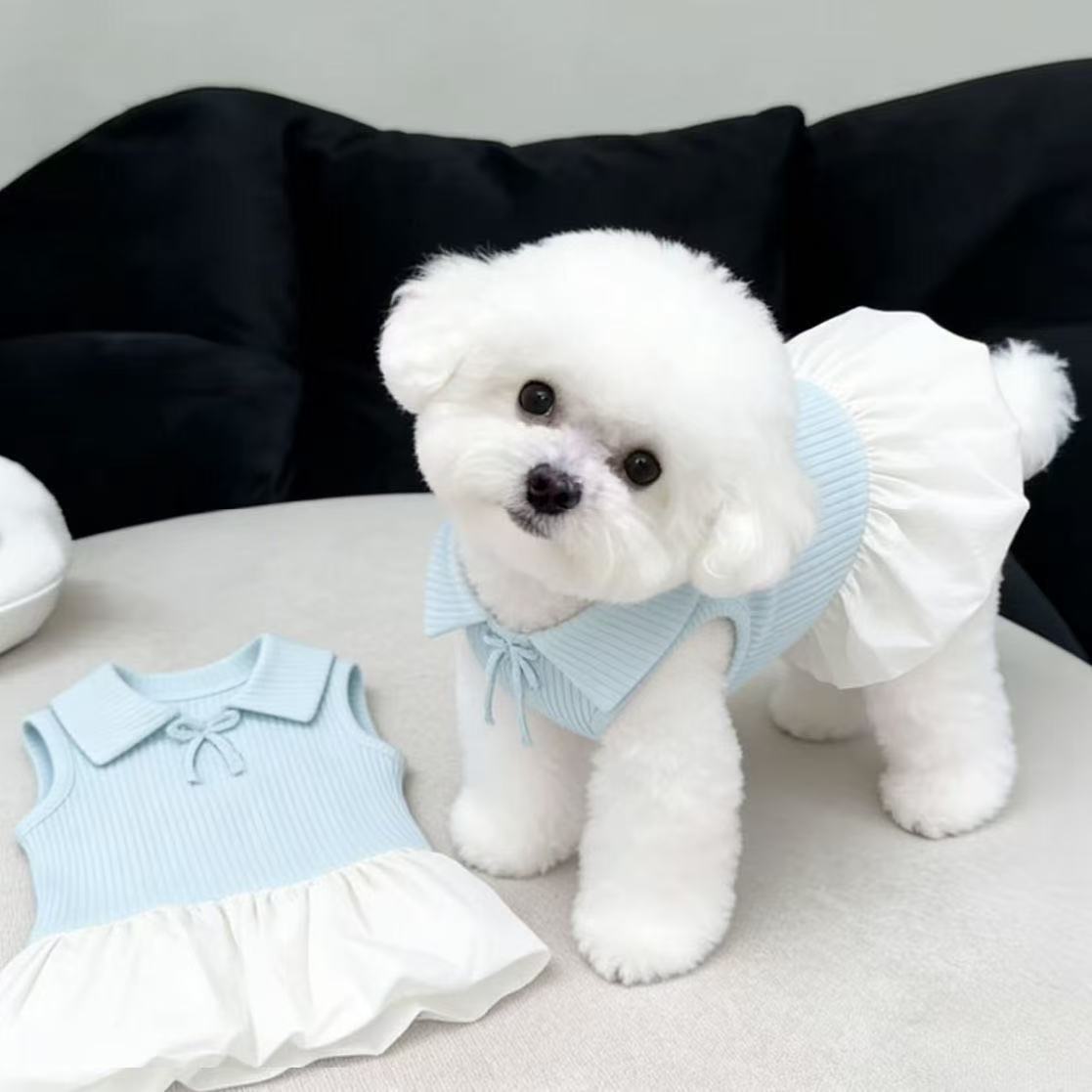 Blue polo collar summer dog dress, in Blue, image 3