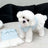 Blue polo collar summer dog dress, in Blue, image 3