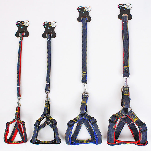 Matching harness, collar and lead set in blue for small pets
