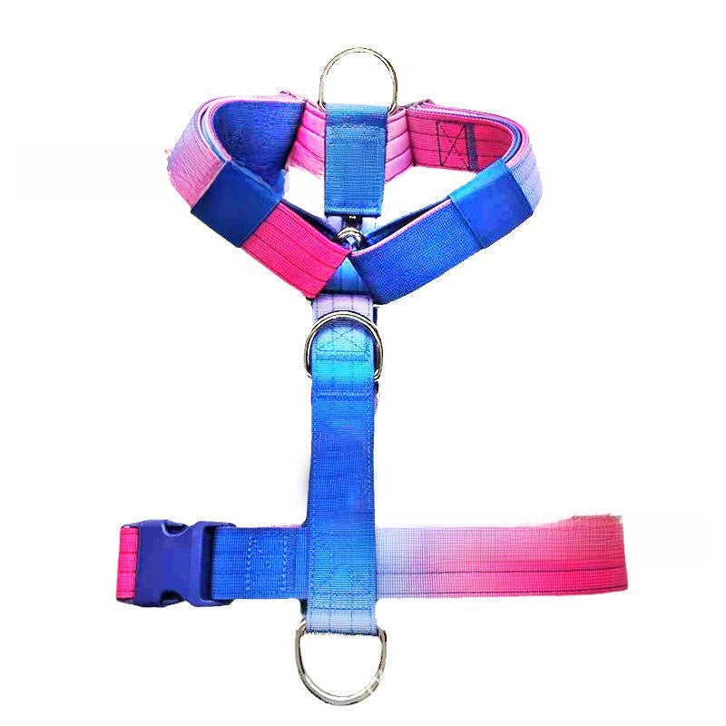 Small dog harness and lead set in bright gradient colours