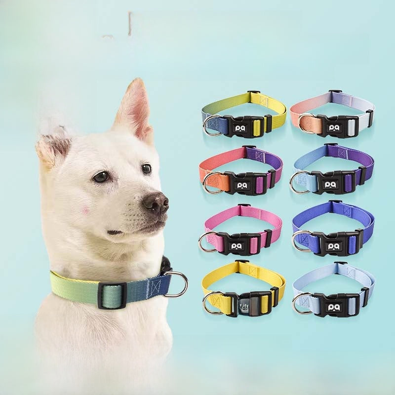 Padded dog harness set shown in light sky blue and beige red