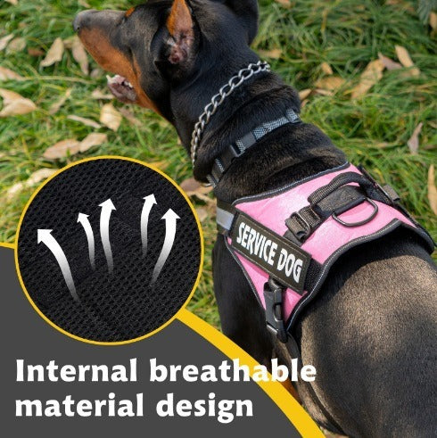 Reflective dog harness and lead set in 9 colour options