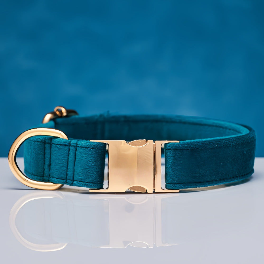 Soft velvet dog collar with metal buckle, 4 sizes available
