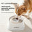 Splash-Proof Floating Dog Water Bowl with Anti-Spill Structure for Small to Medium Dogs