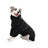 Waterproof windproof raincoat for large dogs, available in 3 colours, image 4