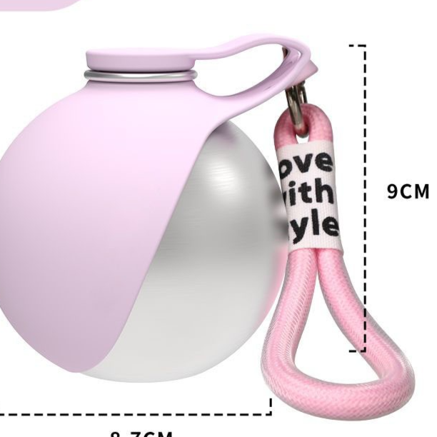 Portable Foldable Stainless Steel Pet Water Bottle with Leakproof Seal for Travel