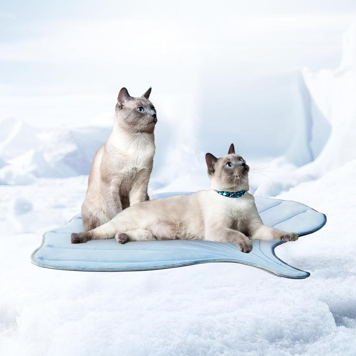 Leaf print cooling ice pad for pets, main product photo