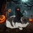 Black knight Halloween costume for dogs, in Black Knight, sizes Small to Medium, image 3