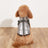 Warm padded cotton dog coat with reflective straps in Green, side view