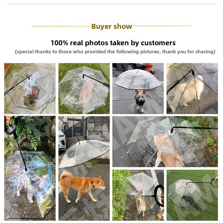 Clear dog umbrella with built-in lead for rainy walks, in a home setting