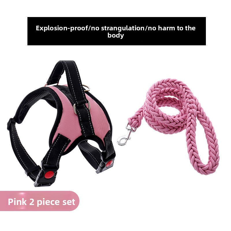 Nylon dog harness with thick eight strand rope lead in red