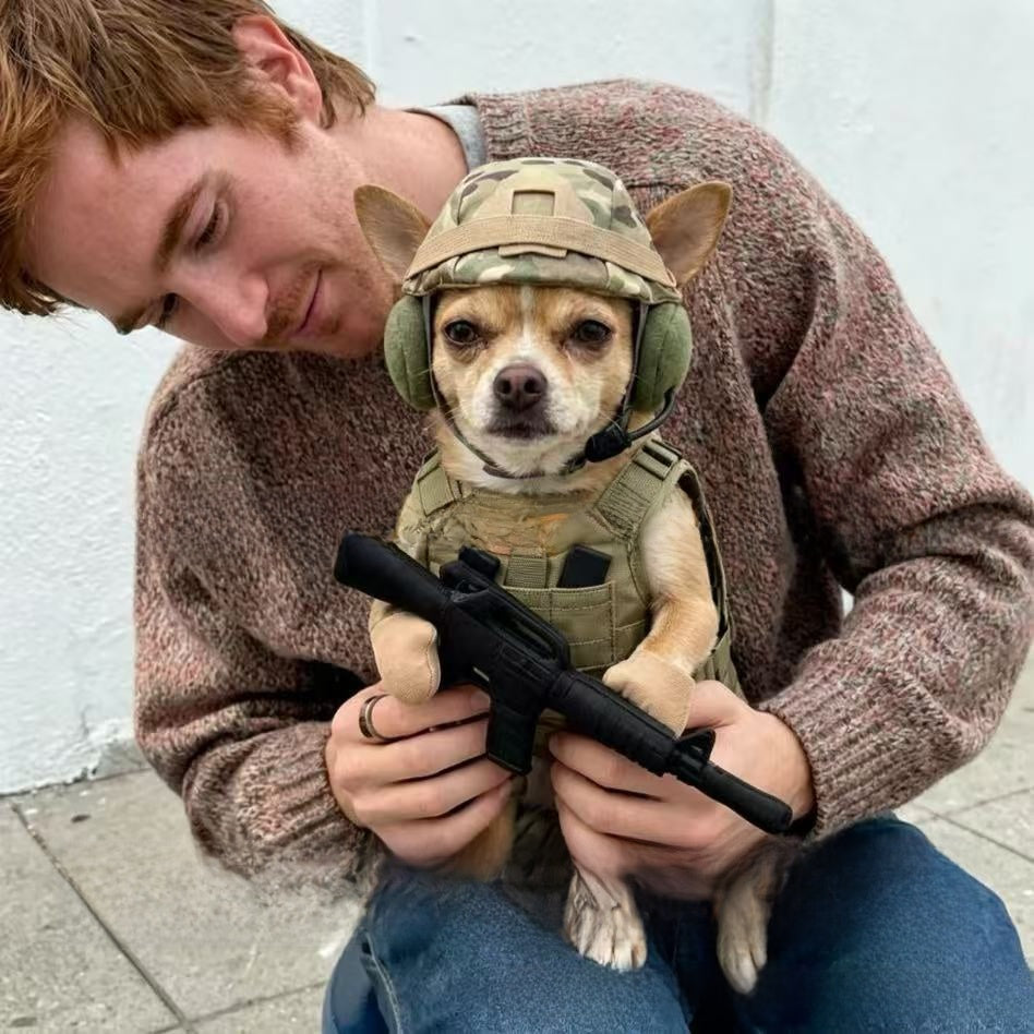 Dog dressed in a cartoon soldier costume with hat