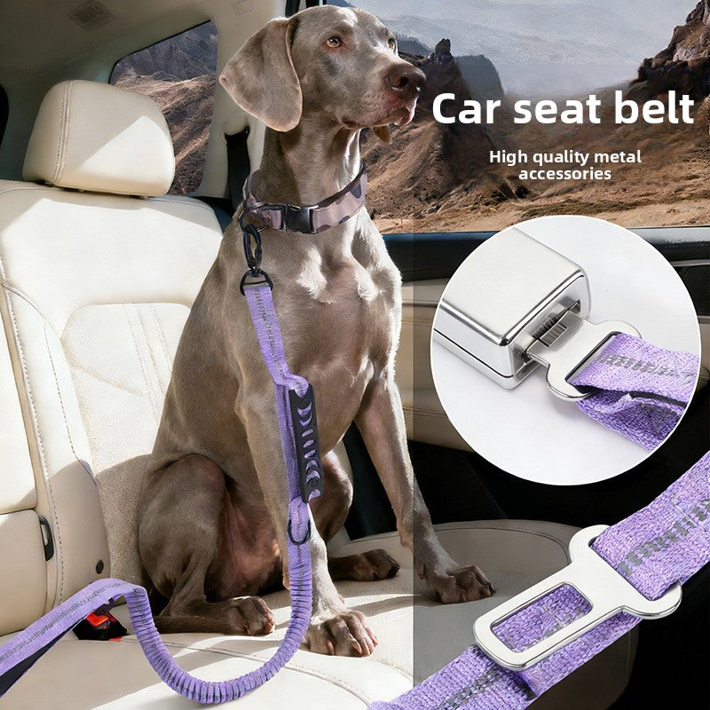 Stretchy bungee dog lead in 6 colour options
