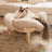 Wooden cat climbing bed with soft corduroy cushion, main product photo