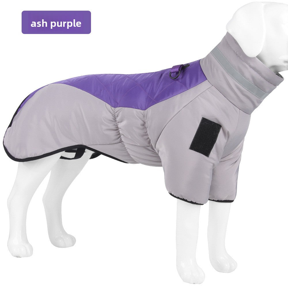 Large dog in a grey and orange reflective padded gilet
