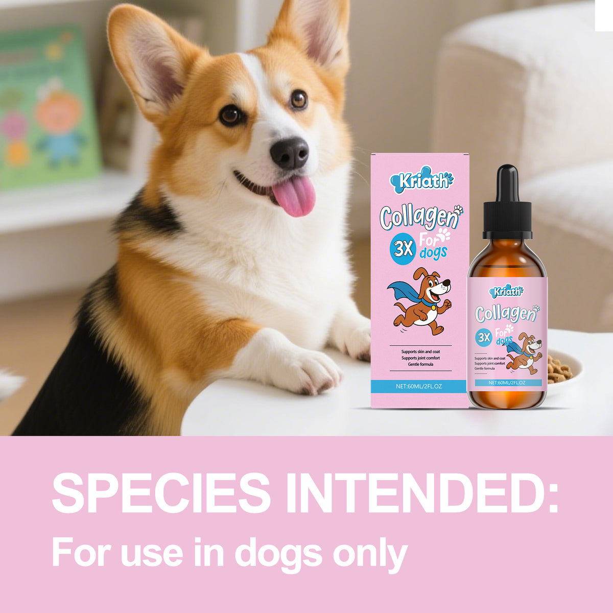 Dog Collagen Drops, Daily Skin and Coat Wellness Supplement