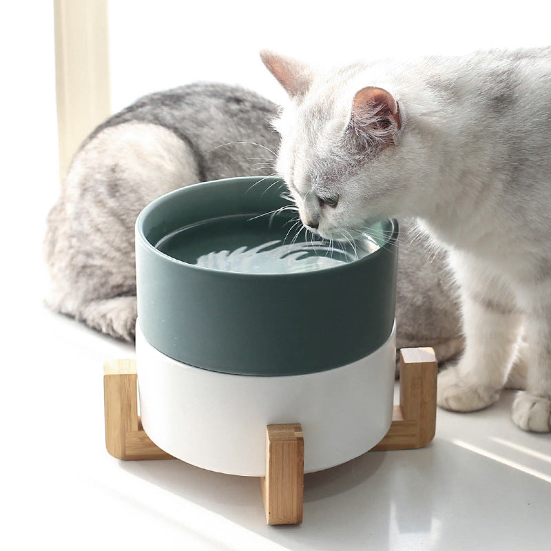 Cat eating from a pink ceramic bowl at home