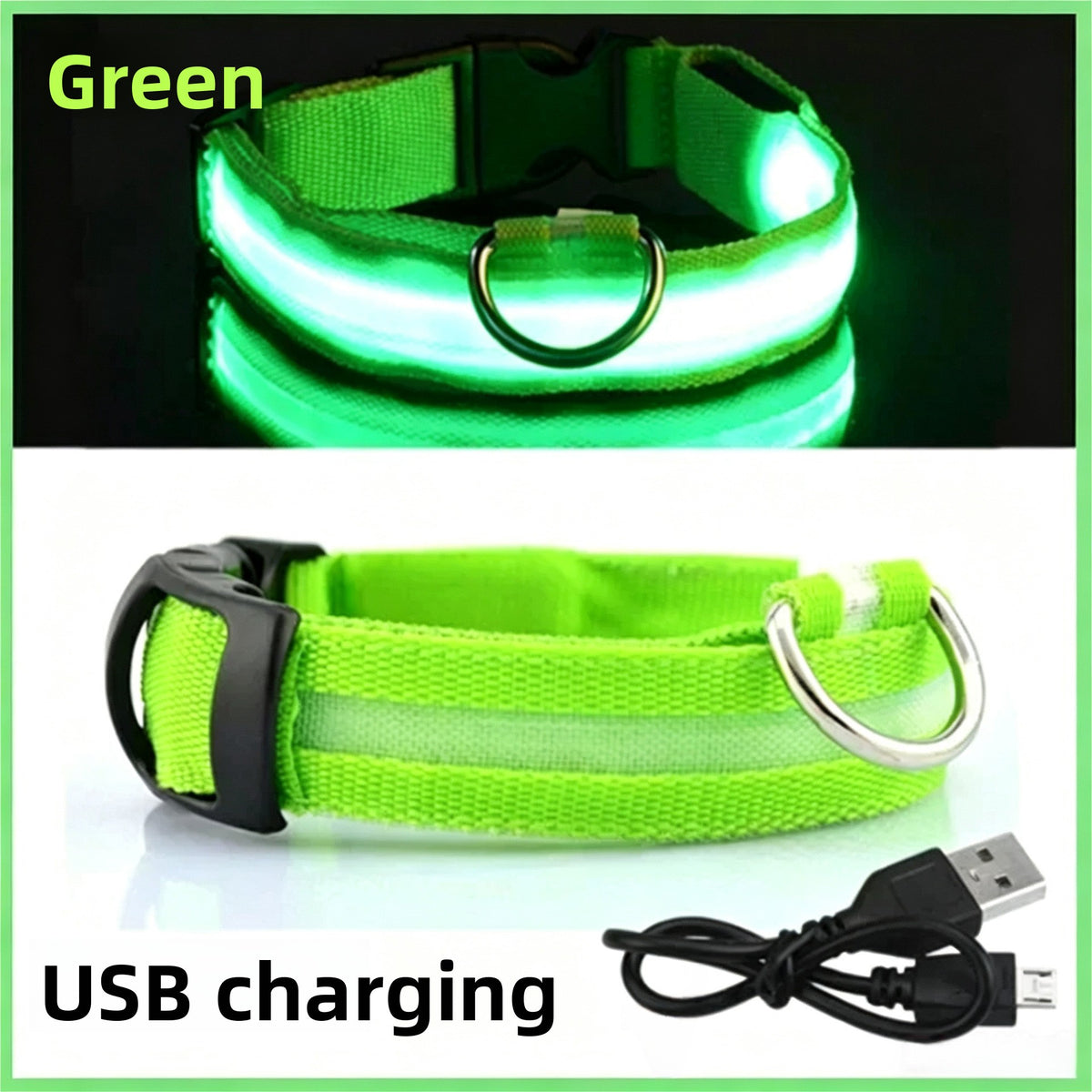 Reflective LED dog collar with USB charging in Black, in a home setting