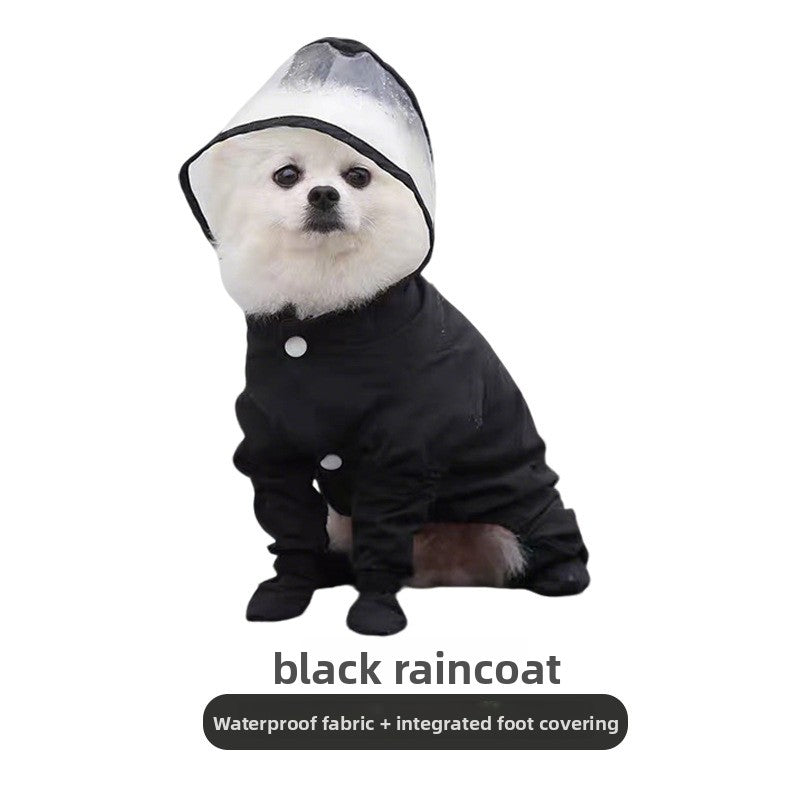 Small dog in a sky blue full cover four leg raincoat